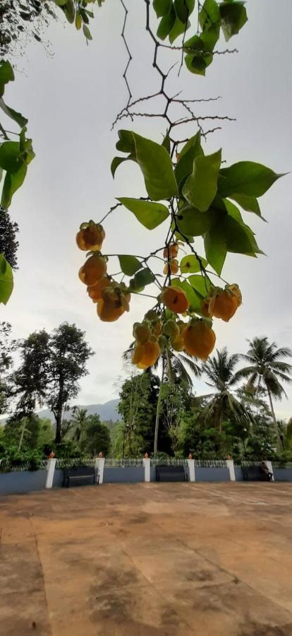 Pepper Valley Resort กัลปัตตา ภายนอก รูปภาพ